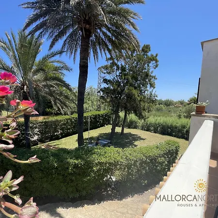 Sunny Spacious Family In