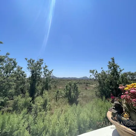 Sunny Spacious Family In 公寓 *