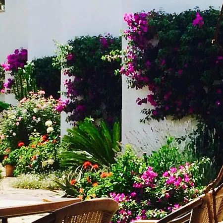 公寓 Sunny Spacious Family In 波连萨港