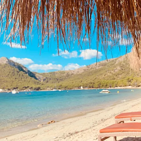 Sunny Spacious Family In 公寓 *